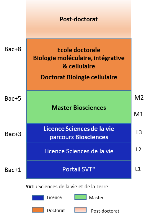 Fiche metier chercheur en biologie du sport